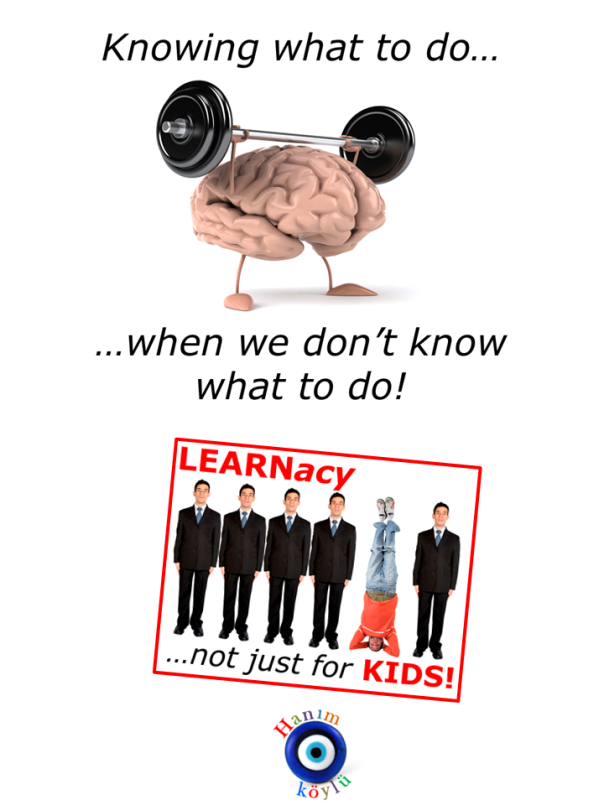 LEARNacy (new ver TG)
