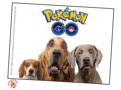 Pokemon Dogs TG ver 130716